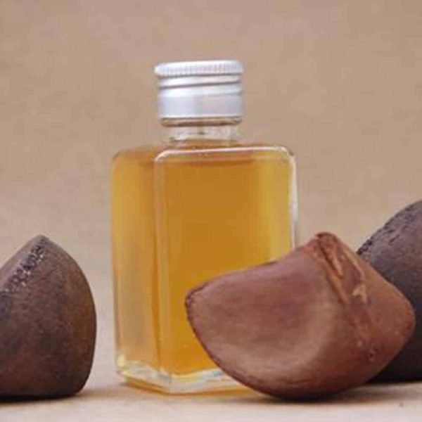 ANDIROBA Essential Oil - (Carapa Guianensis) / 100% Undiluted Organic