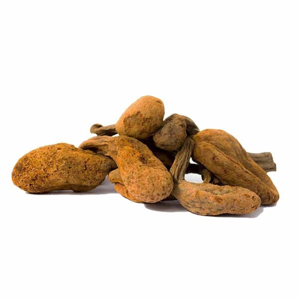 POUDRE HUANARPO MACHO / 200gr à 1kg - (Jatropha macrantha) 100% Pure Naturelle et Biologique BARK