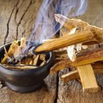 PALO SANTO / 100gr - 1kg / - (Bursera Graveolens) - Bâton sacré