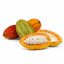 CACAO - Fruit / 50gr at 1kg - (Theobroma Cacao) - Powder 100 % natural