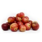 CAMU CAMU - Coquille + Graines / 50gr à 1kg - (Myrciaria Dubia) - Poudre 100 % naturelle