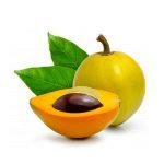 LÚCUMA / 50gr a 1kg - (Pouteria Lucuma) - Polvo 100 % natural