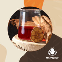 Coleccion AYAHUASCA Mayantop Store